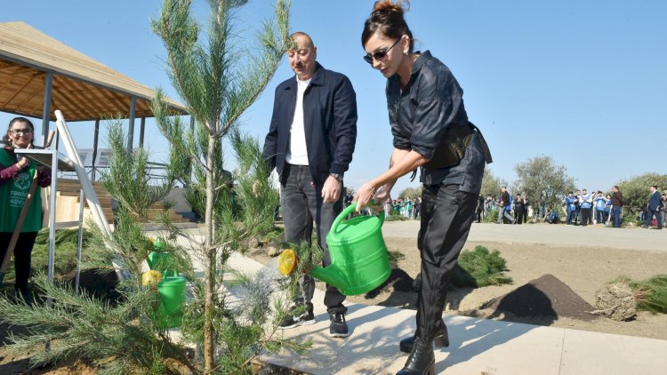    Prezident və xanımı Heydər Əliyevin doğum günü münasibətilə ağac əkdilər   