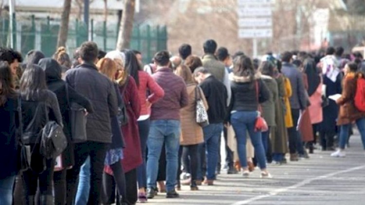    “Ölkədə kifayət qədər ciddi işsizlik problemi var” -   Ekspert
