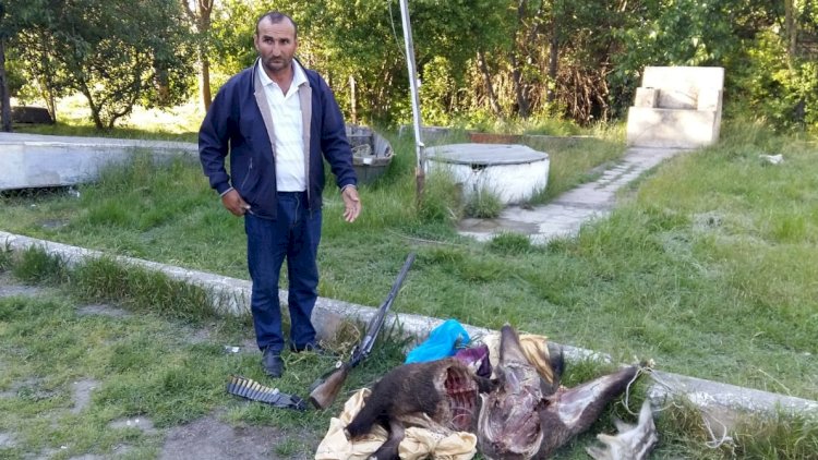    Milli Parkda çöl donuzu ovlayan şəxs saxlanıldı - Foto   