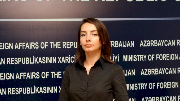    “İşğalçı ölkənin sülhdən bəhs etməsi riyakarlığın son həddidir”   