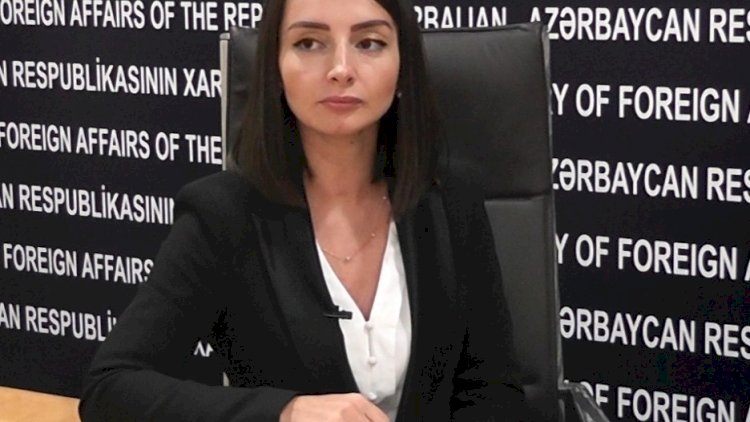    “Paşinyanın təbriki riyakarlığın ən yüksək səviyyəsidir“ - Leyla Abdullayeva   