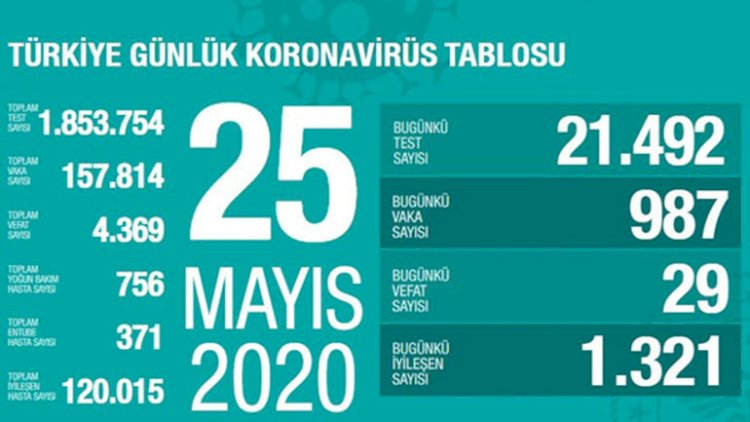    Türkiyədə bir sutkada minə yaxın yoluxma, 29 ölü   