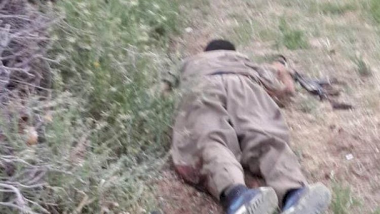    Türk ordusu 4 PKK terrorçusunu məhv etdi    