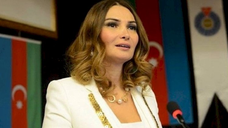    “İşğalçılar qədər mütəşəkkil qaydada iş aparmırıq” - Deputat   
