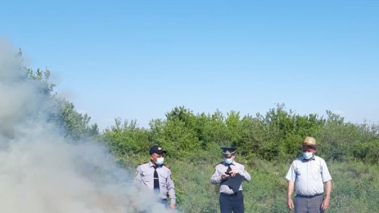    Ağsuda 1 ton çətənə kolu yandırılıb   