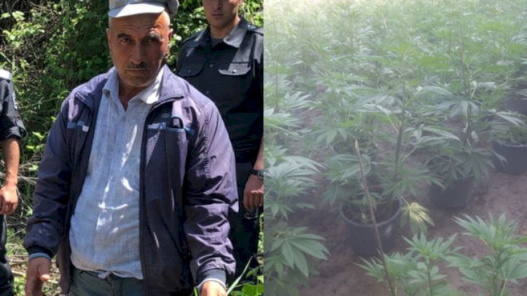    Narkotik plantasiyası salan qonşular ələ keçdi - Foto   