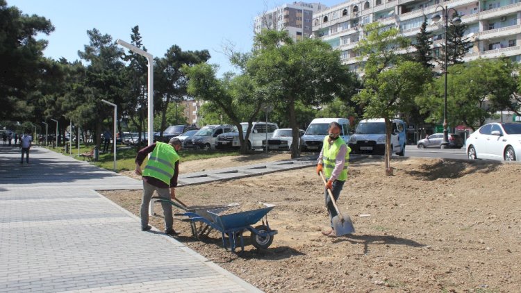    Bakı küçələrində yenidənqurma işləri aparılır - Fotolar   