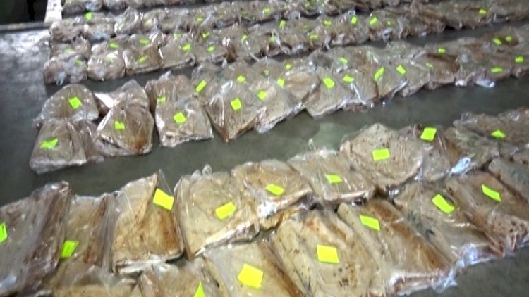    Gömrükçülər son 3 gündə 50 milyon avroluq heroin aşkarlayıb - Fotolar   