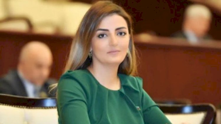    “Prezidentin tibbi maskadan istifadə etməsi hər birimiz üçün nümunə olmalıdır”   