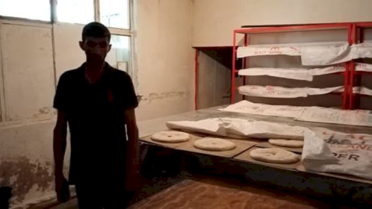    Sərt karantin qaydalarını pozan çörək sexi aşkarlandı - Fotolar   