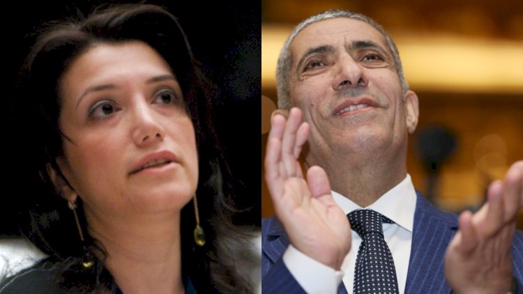    Gültəkin Hacıbəyli Siyavuş Novruzovu dəstəklədi, tənqid atəşinə tutuldu - Foto   