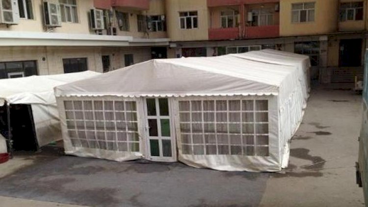    Azərbaycanda alim koronavirusdan dünyasını dəyişdi - Foto   