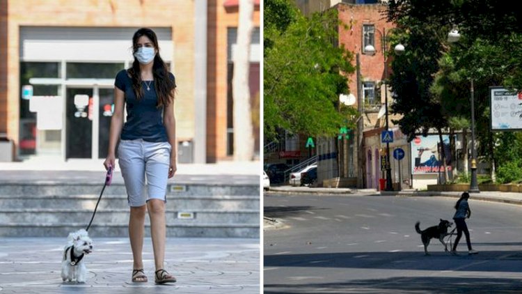    Bakıda növbəti sərt karantin günü: Küçələrdə sadəcə itlərini gəzdirənlər və icazəsi olanlar var   - Fotolar