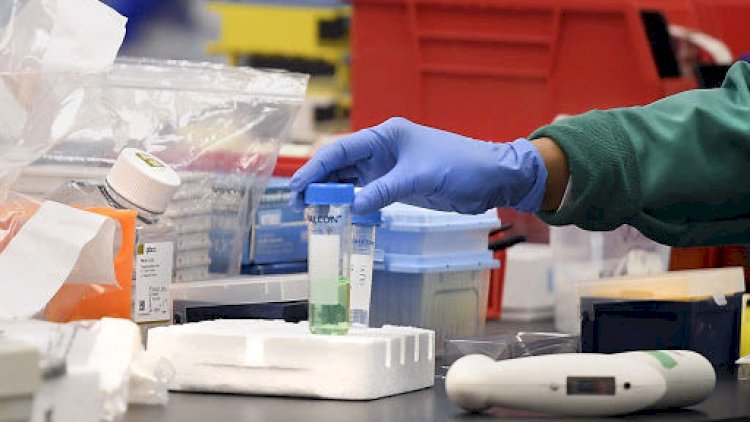    Koronavirus peyvəndinin qiyməti bəlli oldu   