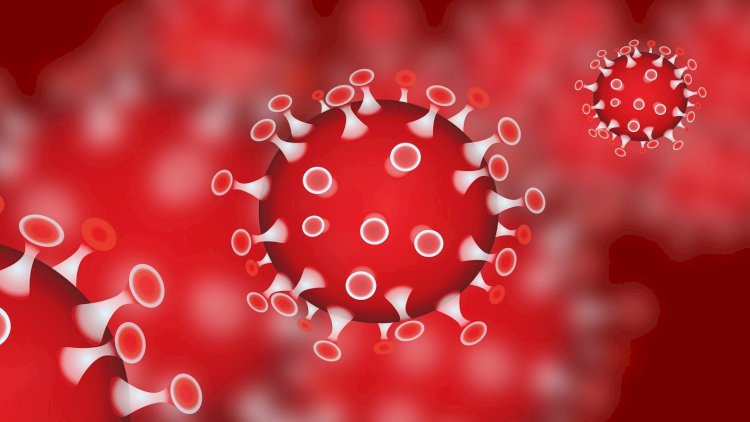    Koronavirus bu ölkələrdə 10 dəfə daha təhlükəli hal alıb   