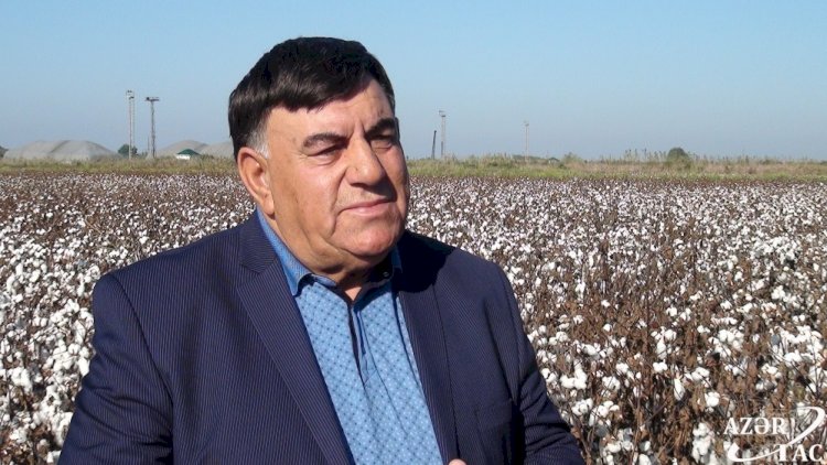    Neftçalada bələdiyyə sədrindən iyrənc hərəkət   