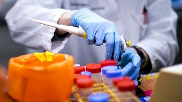    Türkiyədə yeni virus yayıldı, 18 nəfər öldü   