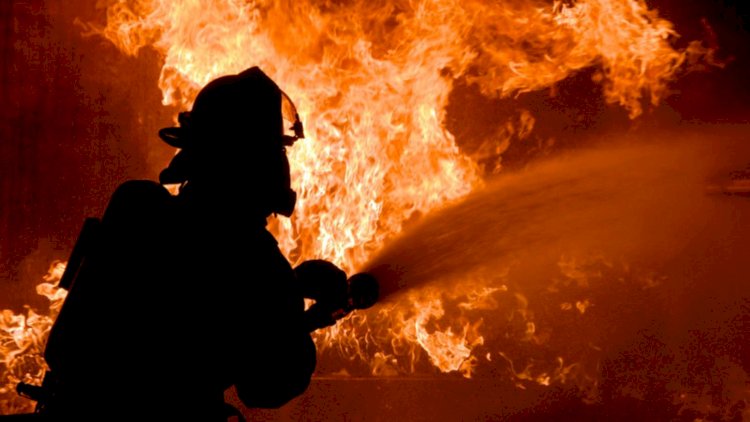    İmişlidə ferma yandı, 60 baş mal-qara tələf oldu   