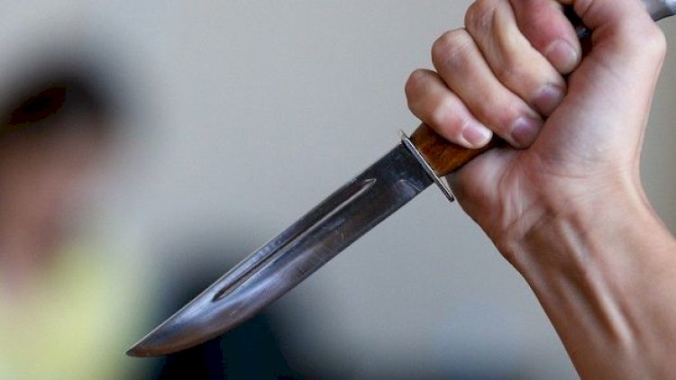    Göygöldə qadınların bıçaqlaşmasının detalları üzə çıxdı   
