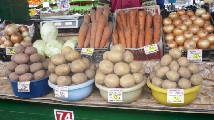    Rusiyada Azərbaycan kartofunun 1 kiloqramını 5 manata satırlar   - Foto