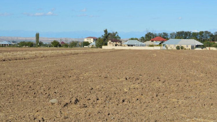    Bakıda adam başına düşən torpaq sahəsi azalır, qiymətlər bahalaşır - Açıqlama   