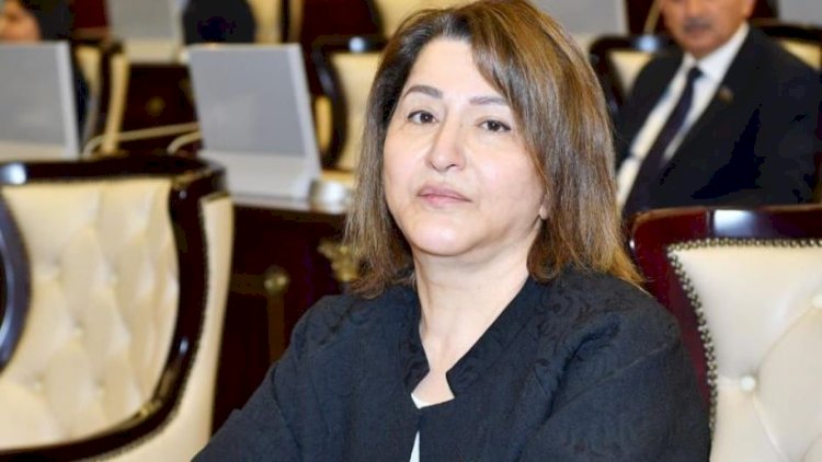    “Cəzalar sərtləşdirilməlidir“ - Deputat   