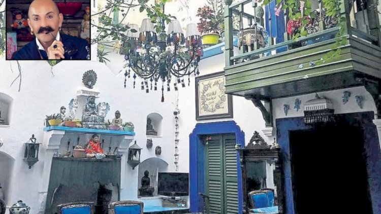    Bir kaktusa görə bahalı villanı aldı - Fotolar   