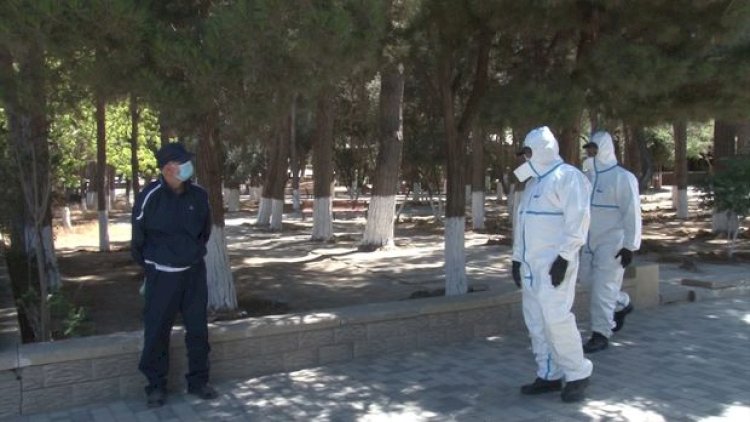    Sumqayıtda koronavirus xəstəsi küçədə tutuldu, cinayət işi açıldı - Video   