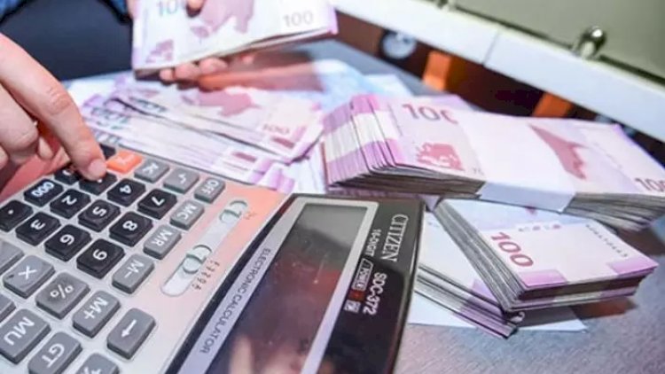    Bu şəxslərə bank kreditləri üzrə dövlət dəstəyi veriləcək   - RƏSMİ