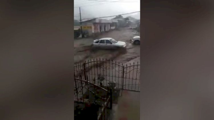    Goranboya güclü leysan yağdı, təsərrüfata və əhaliyə ziyan dəydi - Video   