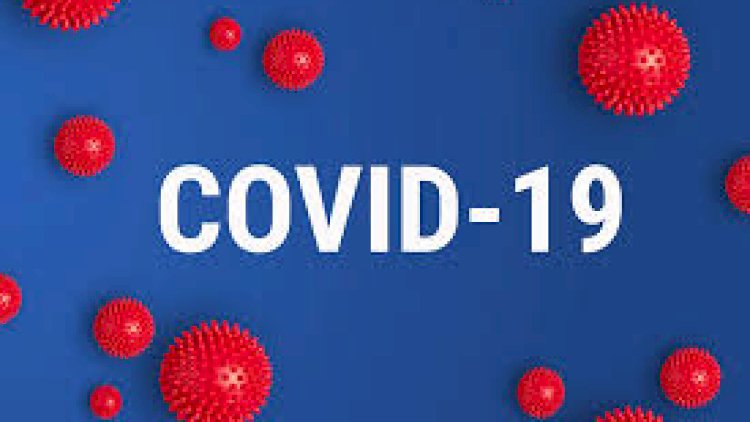    İranda COVID-19-a yoluxanların sayı 262 173 nəfərə çatıb   