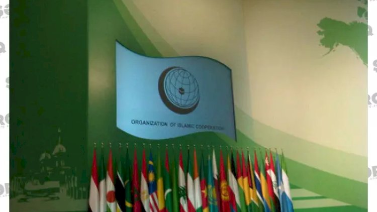    “Erməni qüvvələri Azərbaycan ərazilərindən dərhal çıxarılmalıdır”   