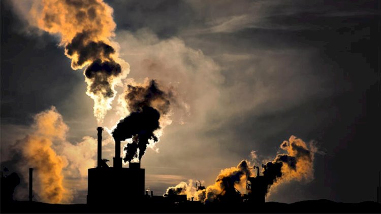    YENİ BƏLA: 2025-ci il üçün bədbin proqnoz verildi   