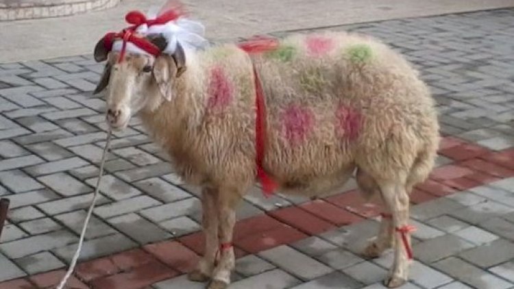    Bu il Qurban bayramı fərqli olacaq - Rəsmi   