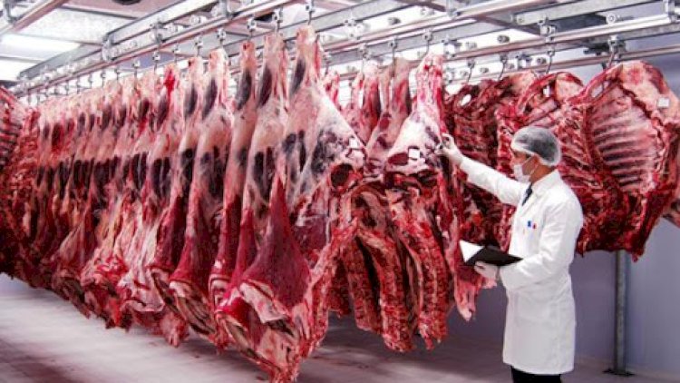    “Monopolistlər imkan versə, Bakıda ətin qiyməti 7-8 manat olar”   - Ekspert