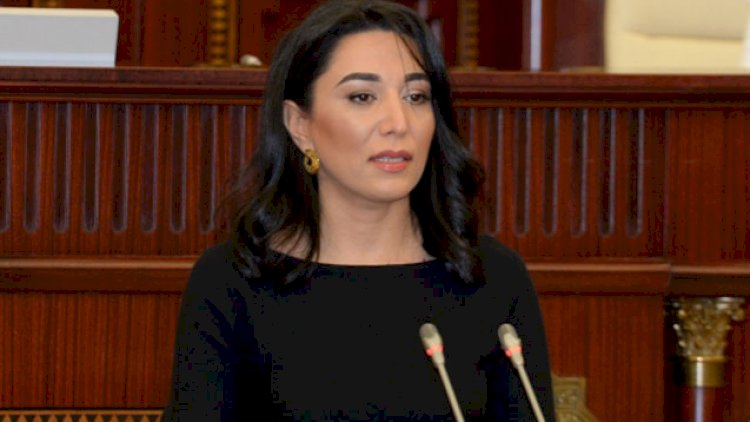    Ombudsman ermənilərin xaricdəki vəhşilikləriylə bağlı beynəlxalq təşkilatlara   MÜRACİƏT ETDİ
