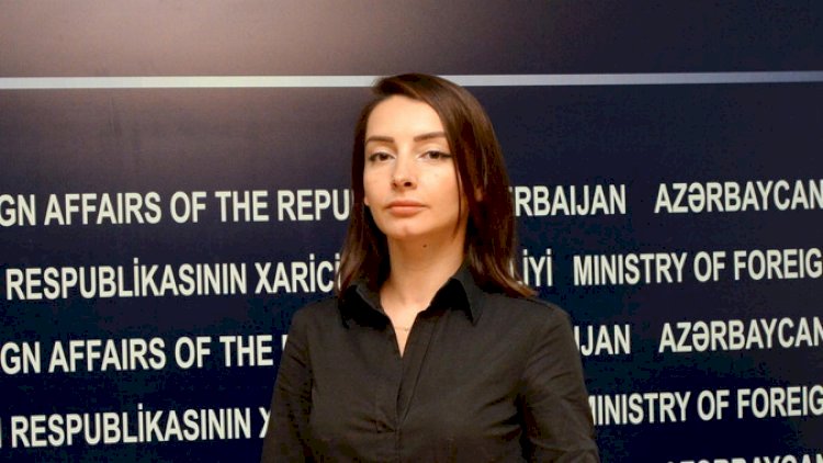    “Baş vermiş gərginliyə görə bütün məsuliyyət Paşinyanın üzərinə düşür” -  XİN   