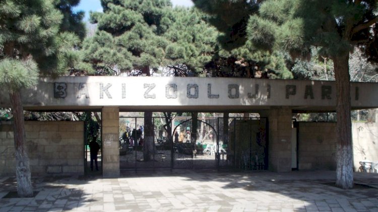    Bakı zooparkına çay timsahı, manqus və ilanlar gətiriləcək   