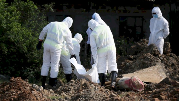    Koronavirus qurbanlarının sayı 650 mini keçdi   