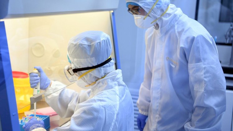    Daha 396 nəfərdə koronavirus aşkarlandı, 558 nəfər sağaldı   