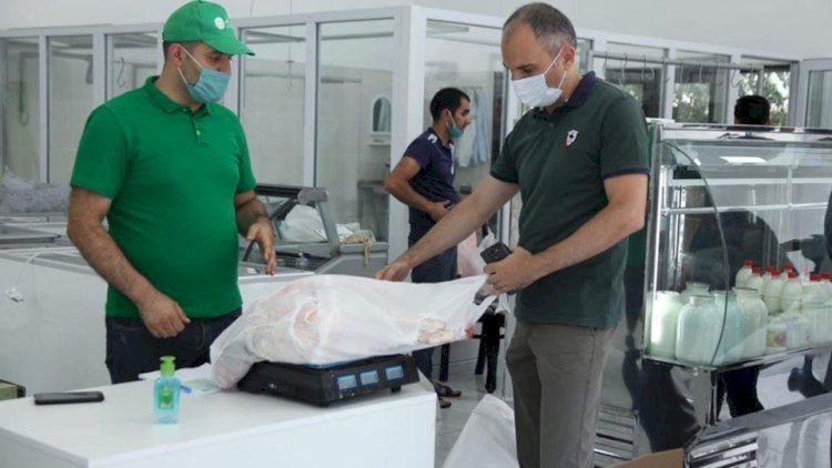    Qurbanlıq qoyunların onlayn satışına maraq böyükdür - Fotolar   