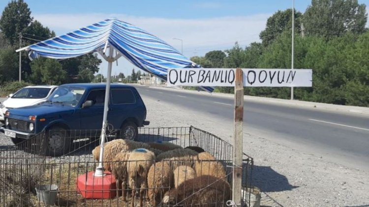    İcazəsiz yerdə qurbanlıq heyvan satan şəxs saxlanılıb   