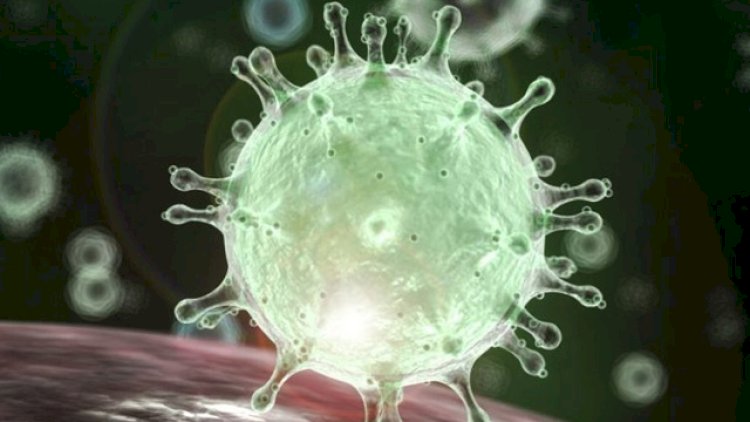    Koronavirus pandemiyası uzun müddət davam edəcək – ÜST-dən   XƏBƏRDARLIQ