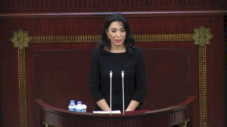    Ombudsman təcridxanada Fuad Qəhrəmanlı və Seymur Əhmədova baş çəkib   
