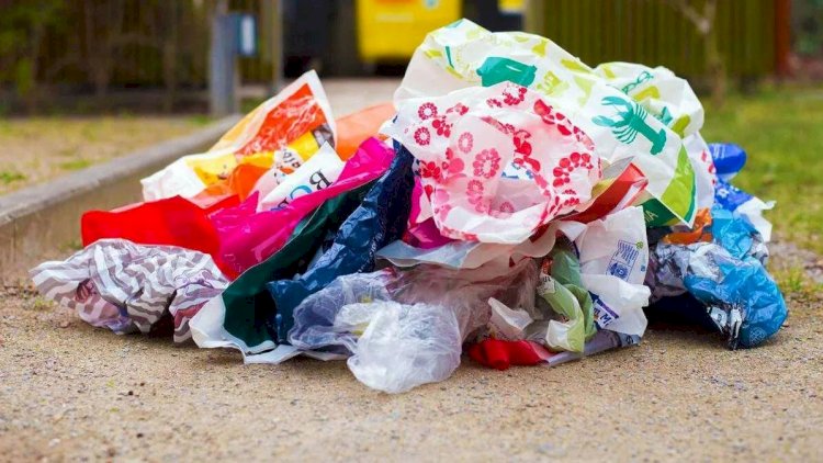    Daha bir ölkə plastik paketlərdən imtina etdi   