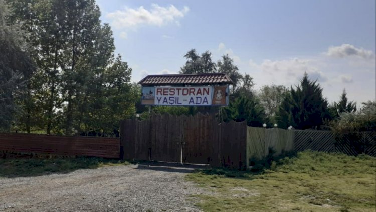    Əxlaqsızlıq yuvası kimi fəaliyyət göstərən kafe aşkarlandı   