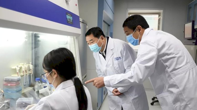    Çində daha bir təhlükəli epidemiya yayılır   