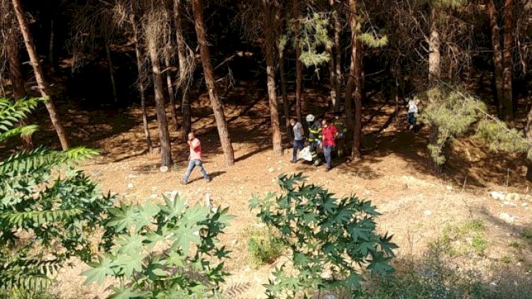    Ata ilə qızının cəsədi fərqli rayonlarda ağacdan asılı halda tapıldı - Foto   