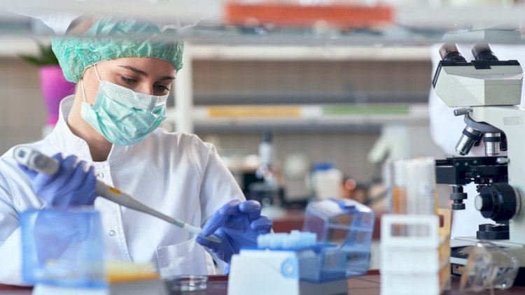    Azərbaycanda seroloji testlərin keçirilməsi üçün fəaliyyət planı hazırlandı   