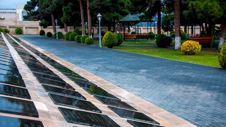    İcra Hakimiyyətindən ağacların quruması xəbərlərinə CAVAB    
